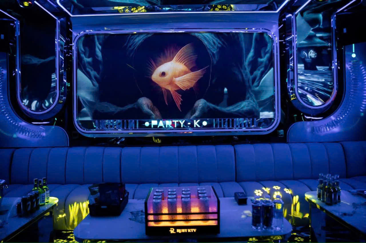 Karaoke RUBY KTV 159 Chính Hữu Đà Nẵng (7)