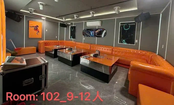 Phòng 102 sofa cam cho 9–12 người