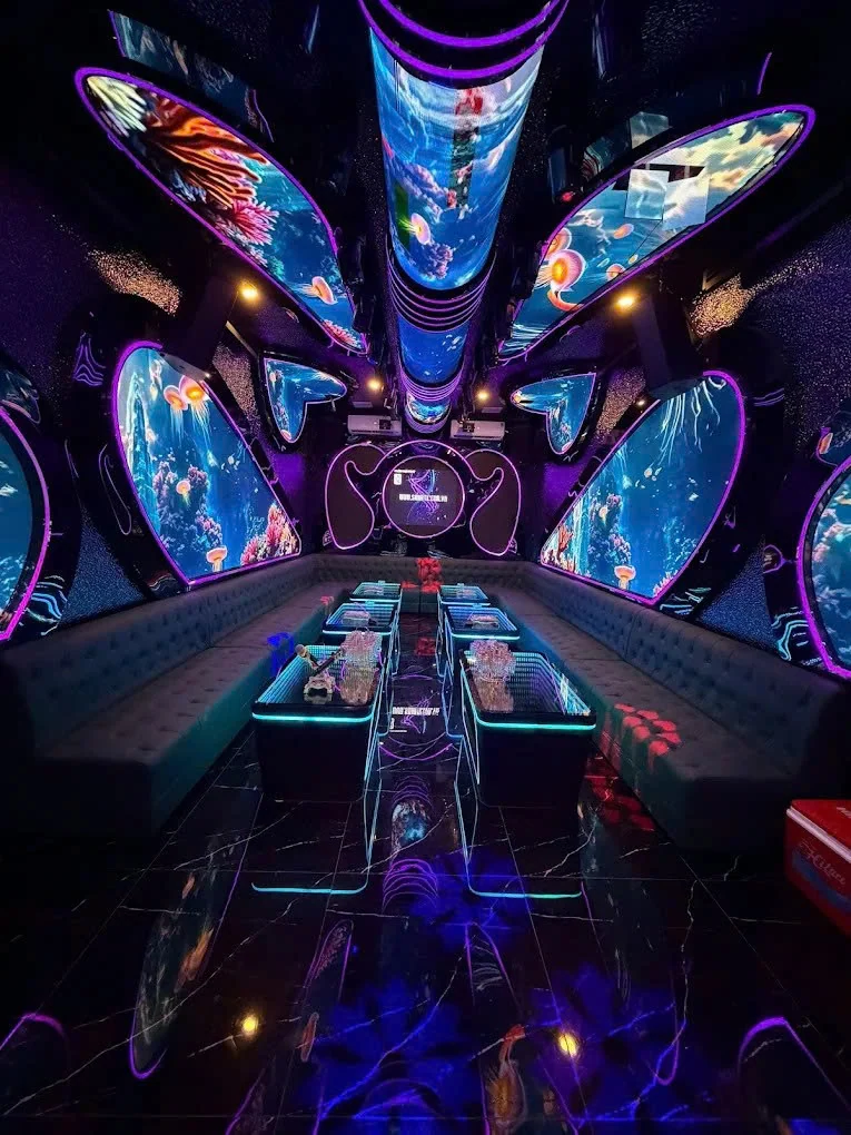 Không gian phòng hát Dragon Palace KTV - góc 9