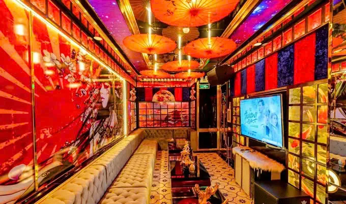 Không gian phòng hát Karaoke Safari KTV - góc 27