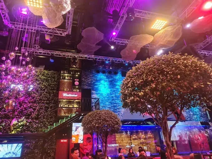 Cây xanh và đèn LED trong club